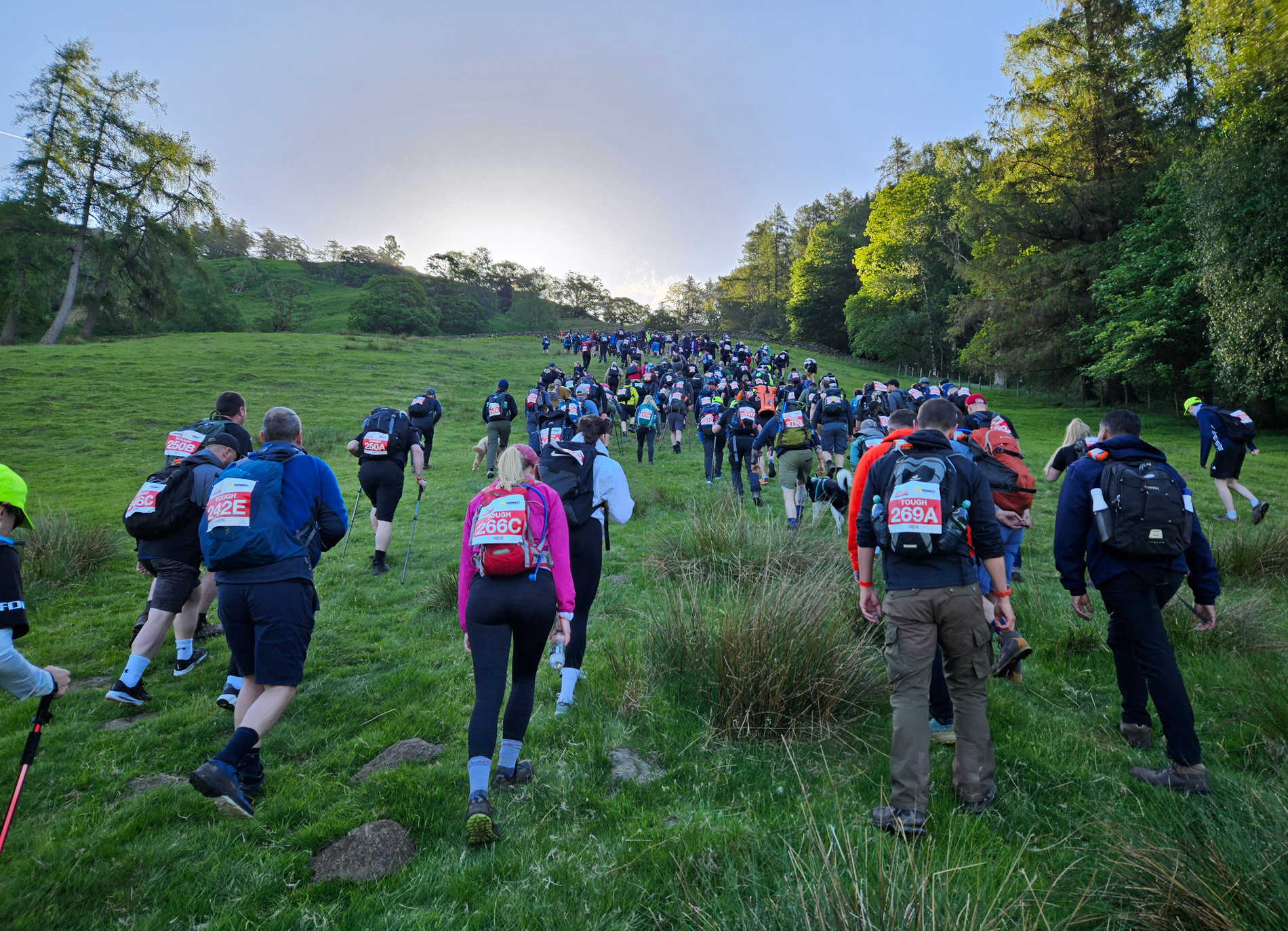 Group of people walking up a hill