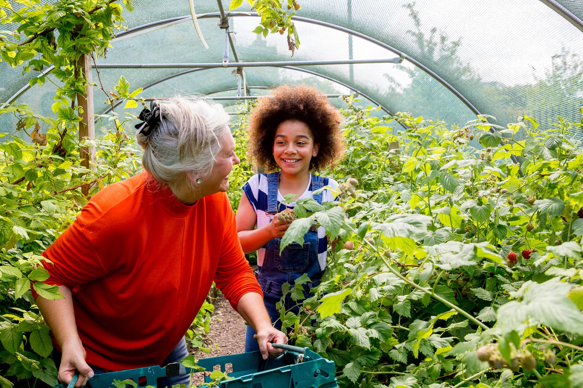 Women and girl gardening in a greenhouse