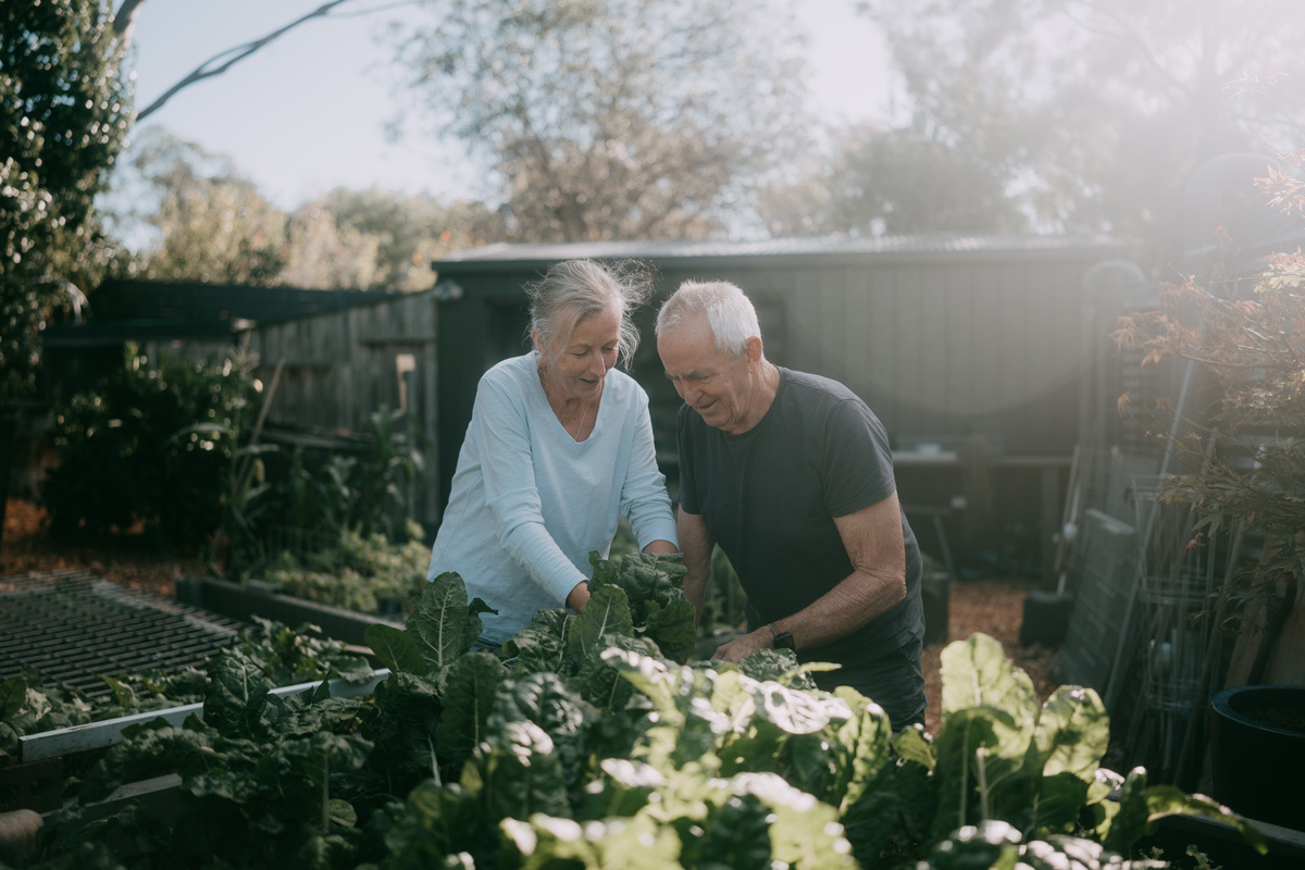 Senior couple gardening