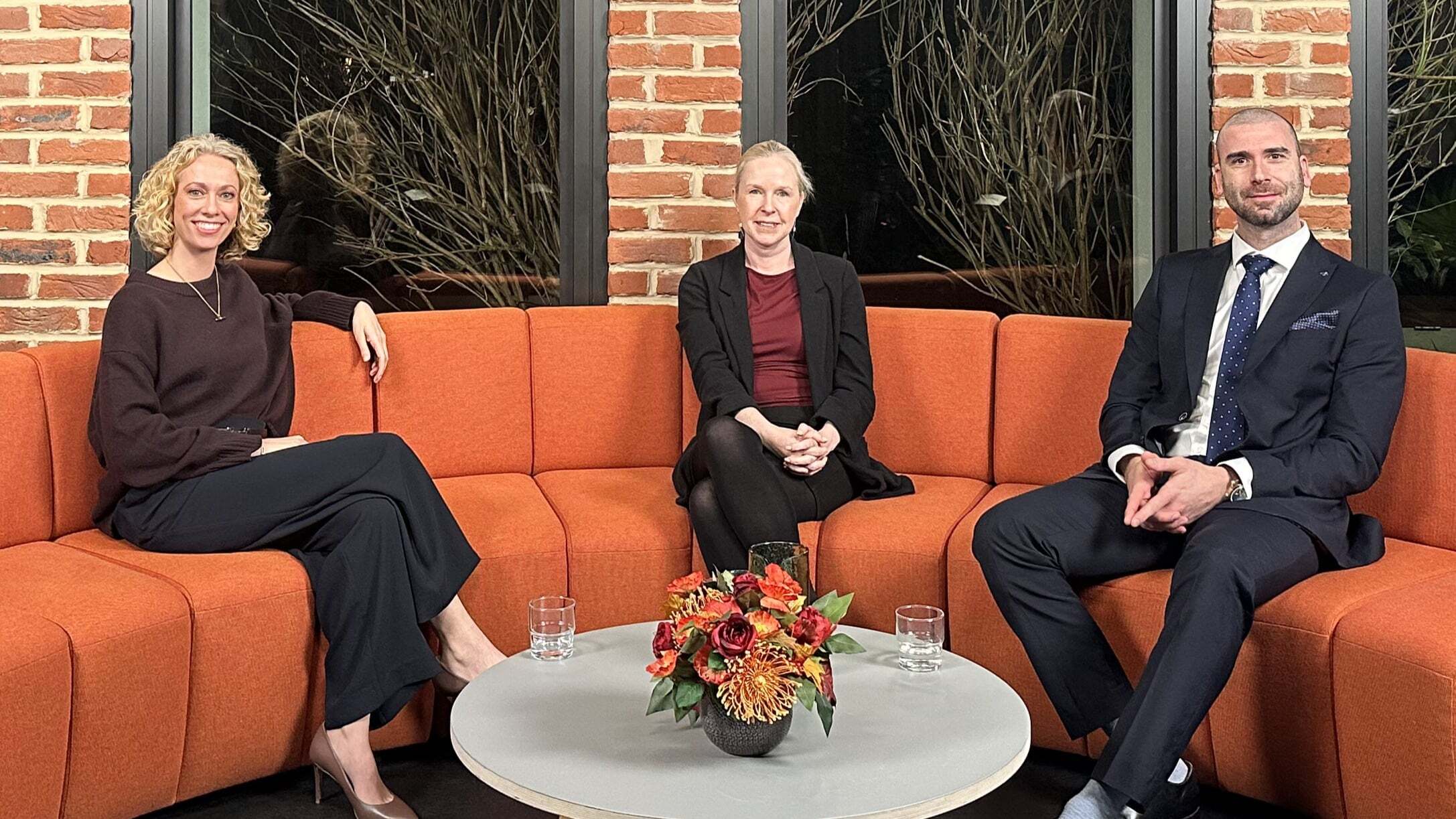 Image of the panel for webinar - two females and one male