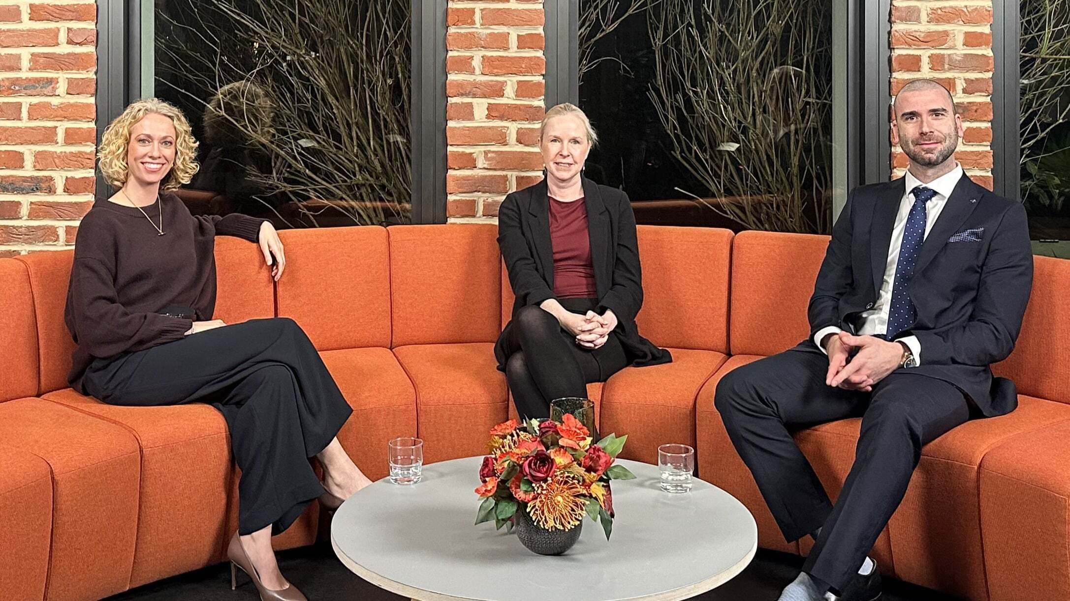Image of the panel for webinar - two females and one male
